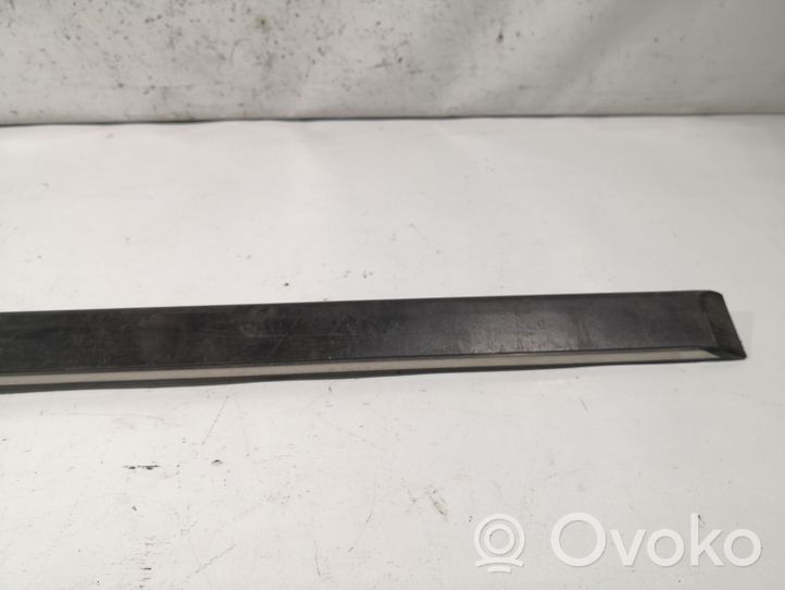 BMW 5 E39 Front door trim (molding) 8159295