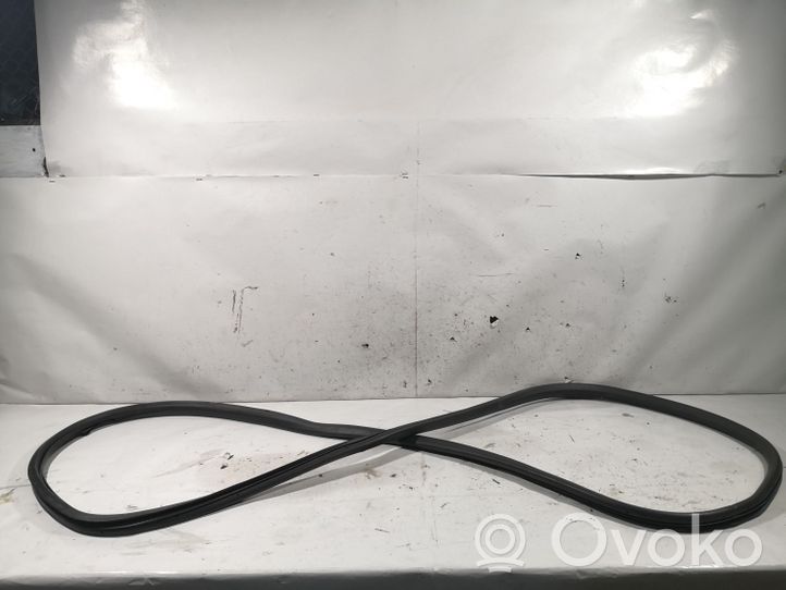 Audi A6 S6 C6 4F Front door rubber seal 4F0831721F