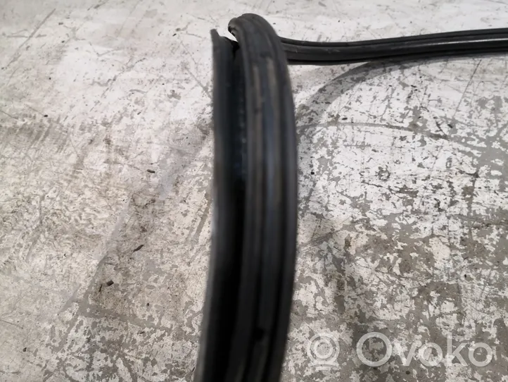 Audi A4 S4 B8 8K Front door rubber seal 8K0831721E