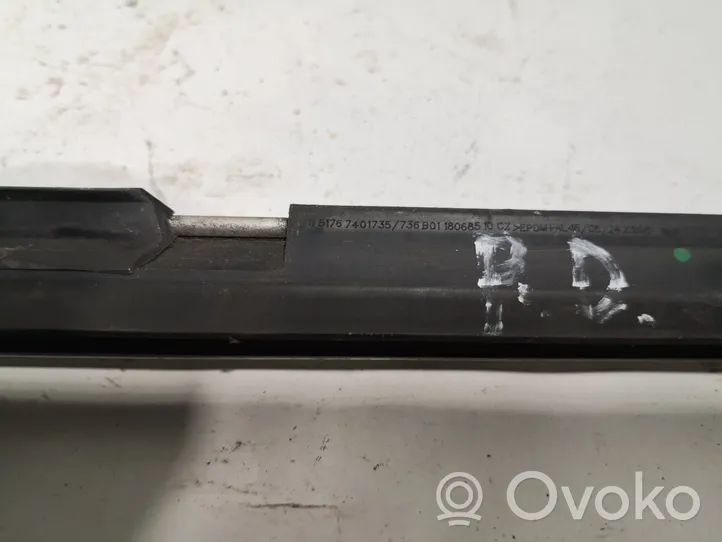 BMW 3 GT F34 Front door glass trim molding 51767401735