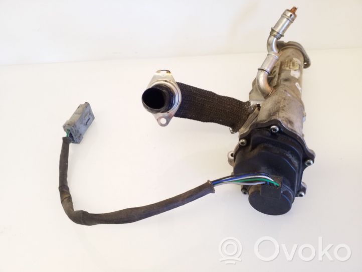 Land Rover Range Rover Sport L320 EGR-venttiili 216037183