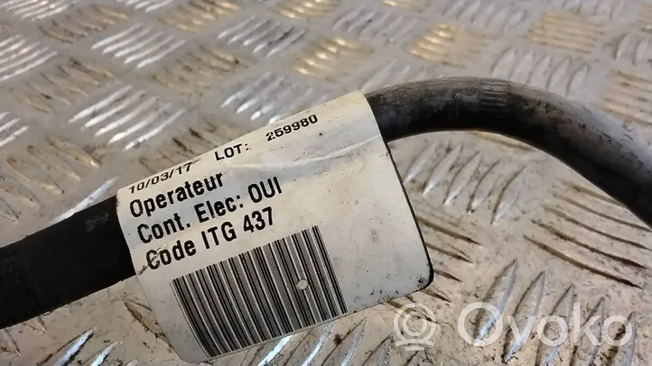 Renault Trafic III (X82) Cavo negativo messa a terra (batteria) 240800232R