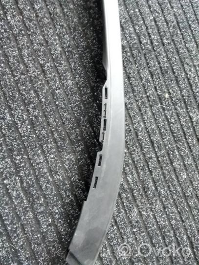 BMW X3 G01 Front door glass trim molding 7410297