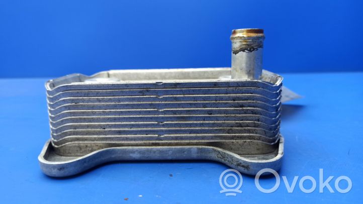 Mercedes-Benz S W220 Dzinēja eļļas radiators A6131880201