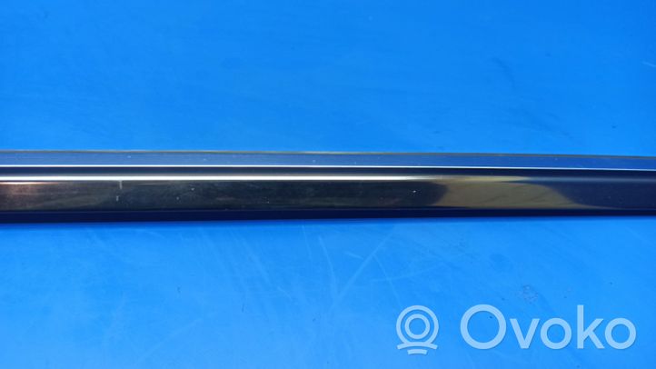 Mercedes-Benz S W220 Rubber seal rear door window/glass W220