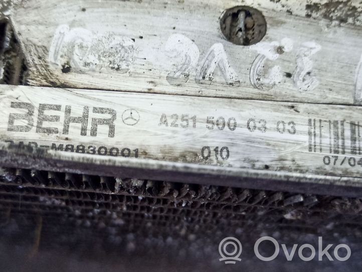 Mercedes-Benz R W251 Dzesēšanas šķidruma radiators A2515000304