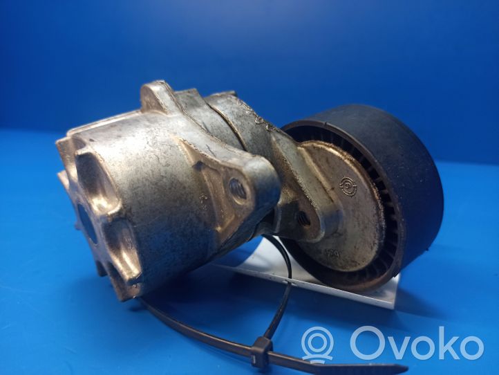 Mercedes-Benz E W211 Napinacz paska wielorowkowego / Alternatora 950151