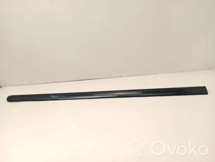 Mercedes-Benz ML W163 Front door trim (molding) 1636900162