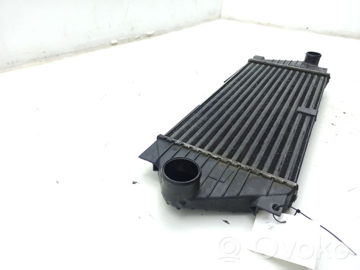 Mercedes-Benz ML W163 Radiatore intercooler 1035042