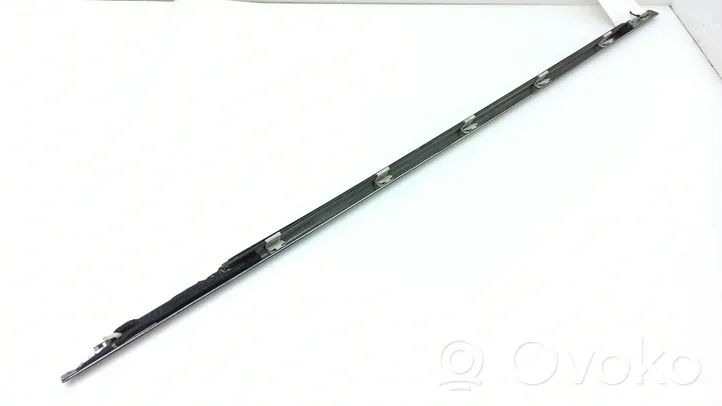 Lexus LS 430 Front door glass trim molding 