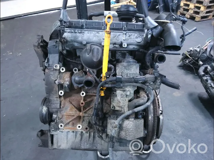 Volkswagen Sharan Silnik / Komplet 1484408
