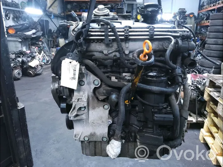 Volkswagen Golf V Moteur 3G100098X