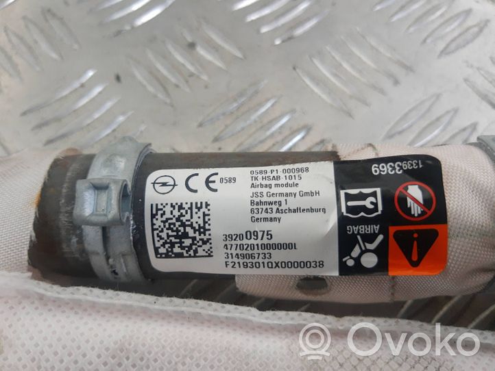 Opel Insignia B Airbag da tetto 39200975