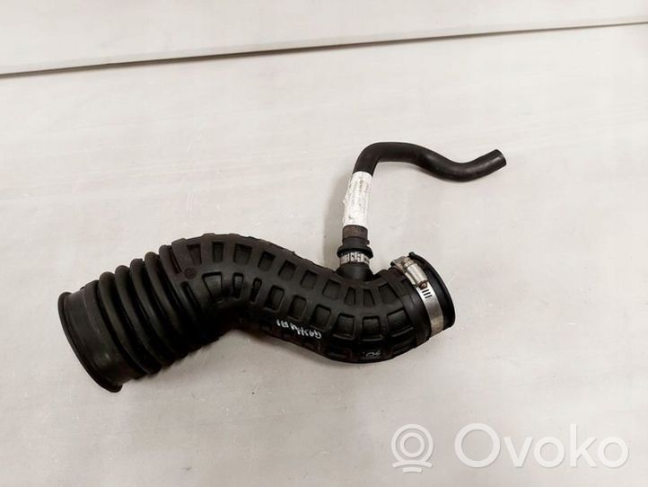 Nissan Qashqai Sfiato/tubo di sfiato/tubo flessibile  1022314S01