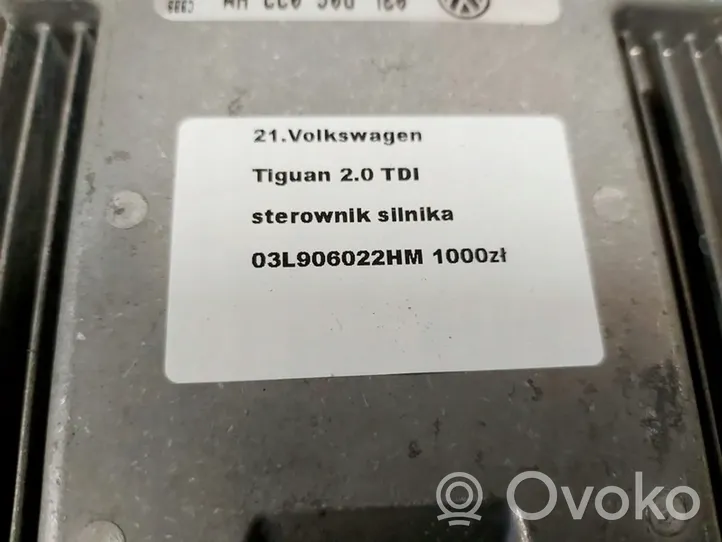 Volkswagen Tiguan Centralina/modulo motore ECU 5N2857706A