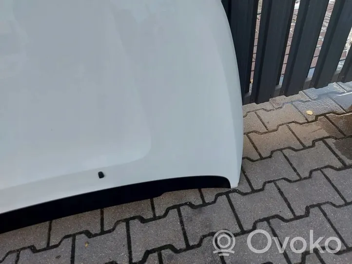 Opel Ampera Pokrywa przednia / Maska silnika 