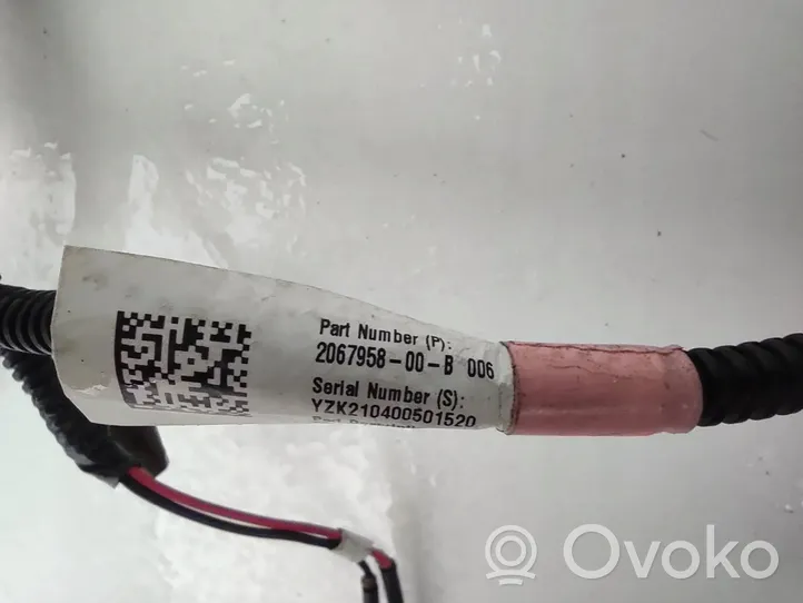 Tesla Model 3 Cableado del sensor de aparcamiento (PDC) 206795800B