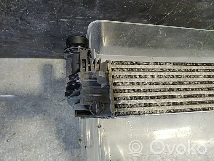 Renault Megane III Radiatore intercooler 