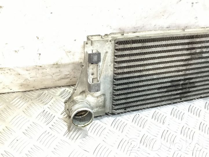 Renault Megane II Starpdzesētāja radiators 8200115540