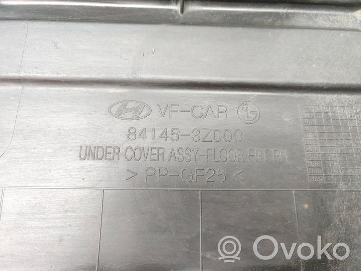 Hyundai i40 Protezione anti spruzzi/sottoscocca del motore 841453Z000
