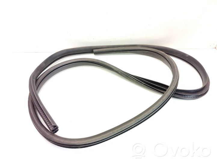 Ford Kuga II Front door rubber seal 