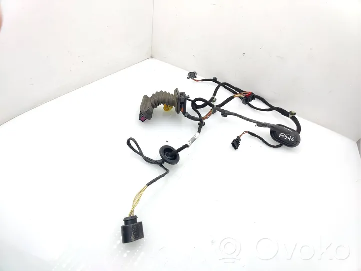 Volkswagen PASSAT B7 Front door wiring loom 3AB971121AG