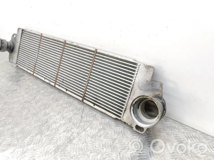 Volkswagen Transporter - Caravelle T5 Chłodnica powietrza doładowującego / Intercooler 864963