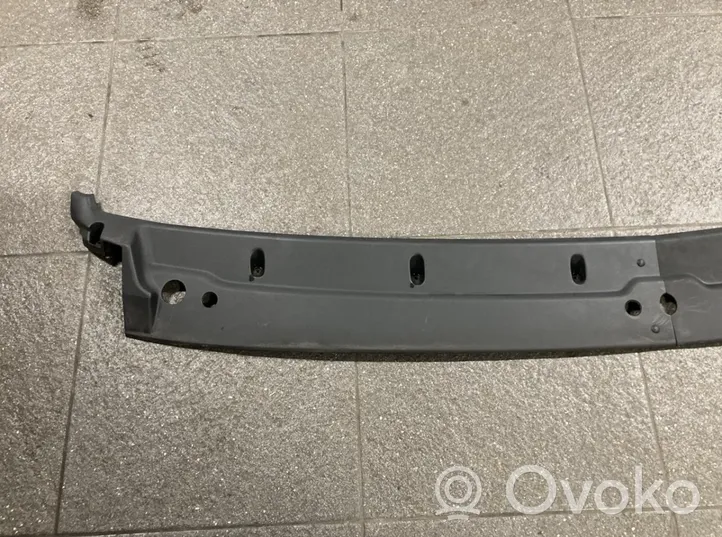 Iveco Daily 4th gen Rivestimento del tergicristallo 3800487DX