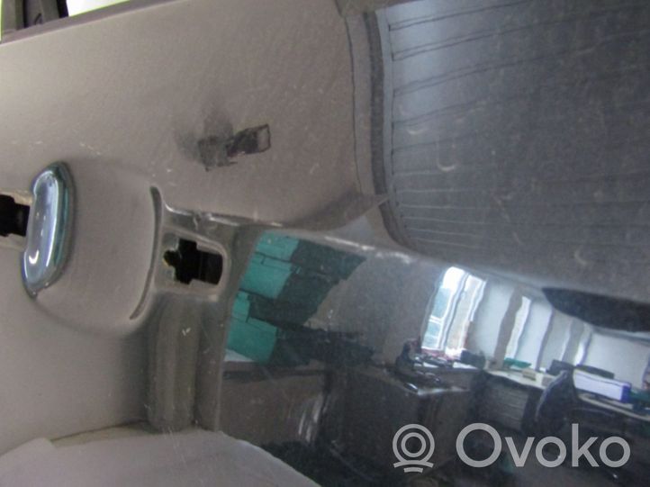 Opel Insignia A Rear door 