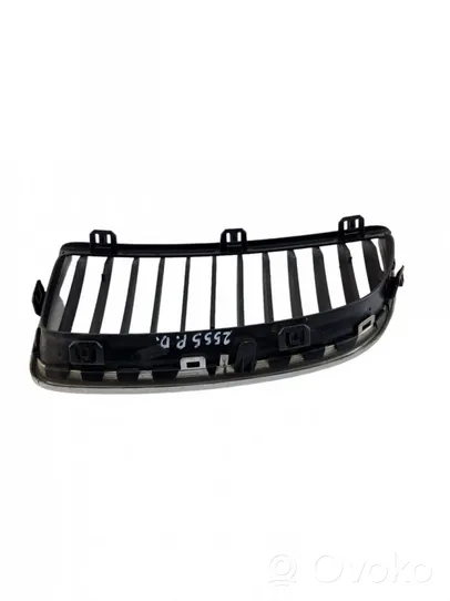 BMW 3 E90 E91 Front grill 