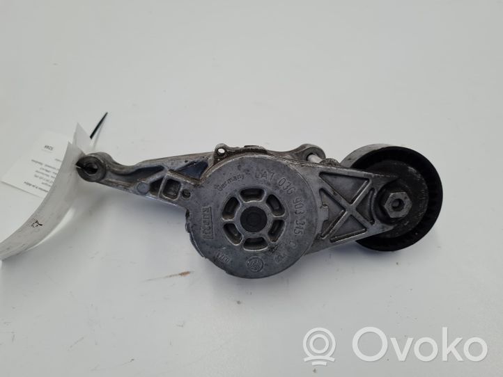 Volkswagen PASSAT B5.5 Napinacz paska alternatora 03G903315C