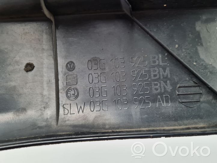 Volkswagen Golf V Copri motore (rivestimento) 03G103925G