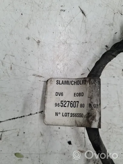 Ford C-MAX I Glow plug wires 9652760780