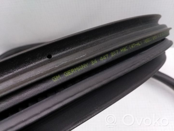 Opel Vectra C Rear door rubber seal (on body) 218332872