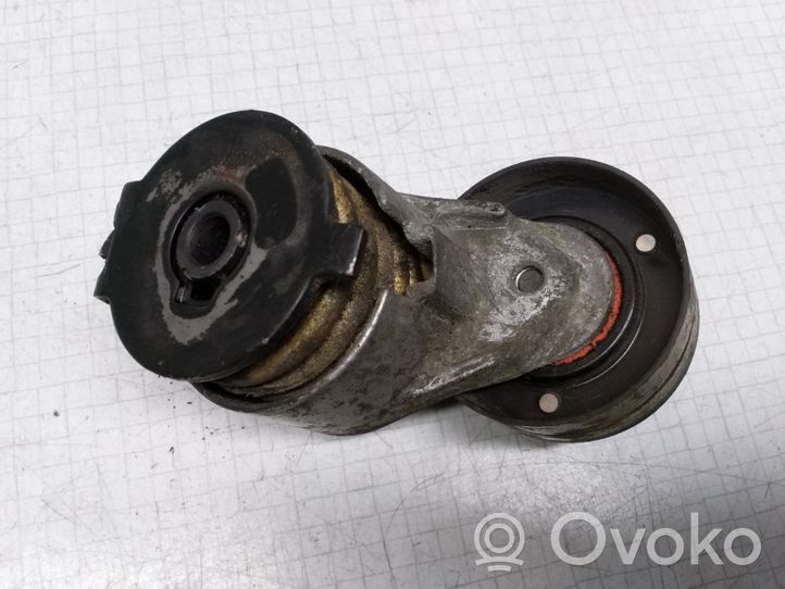 Renault Megane II Timing belt tensioner 0721206280001