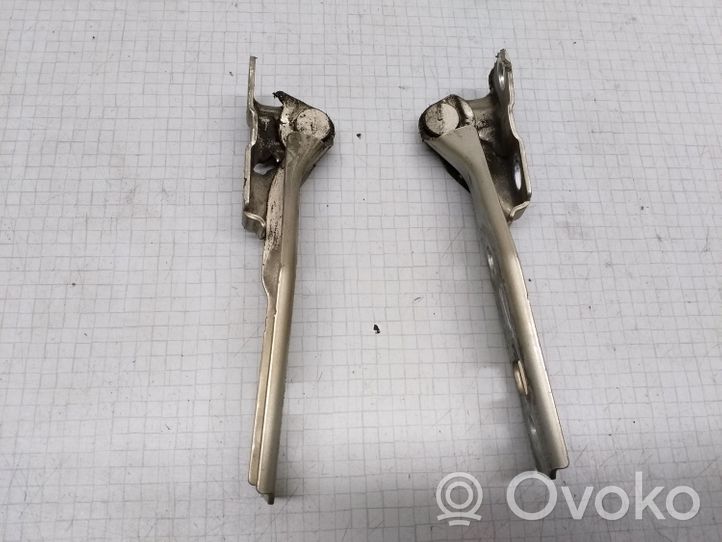 Volkswagen Bora Cerniere del vano motore/cofano 1J0823301