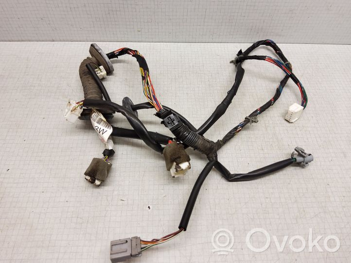 Nissan Almera N16 Cableado de puerta delantera 24125BN904