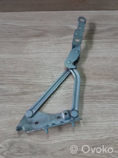 Renault Megane II Tailgate/trunk/boot hinge 011067