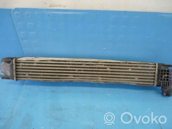 Dacia Duster Chłodnica powietrza doładowującego / Intercooler 8200880552