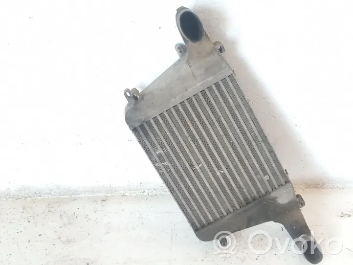 Nissan Atleon Radiatore intercooler 130030051F