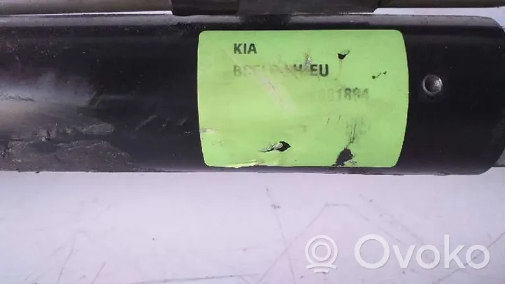 KIA Rio Vairo kolonėle 