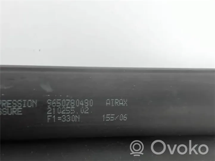 Peugeot 207 Gasfeder Dämpfer Heckfenster Heckscheibe 9650780480