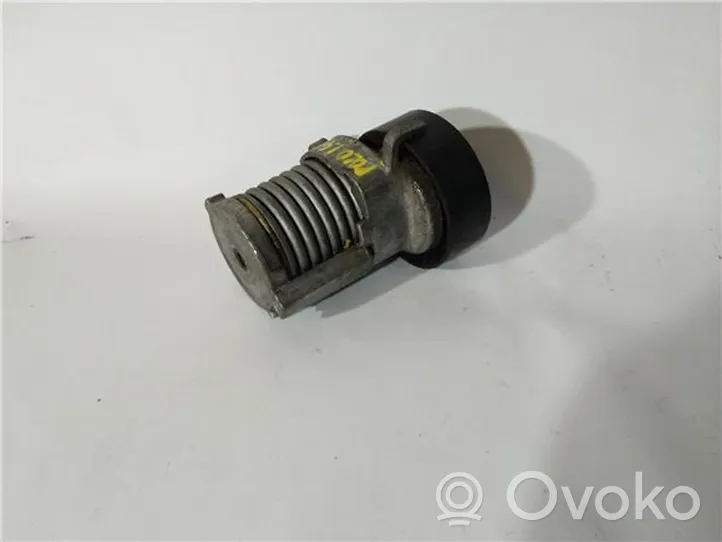 Volkswagen Polo IV 9N3 Tendicinghia generatore/alternatore 030145299C