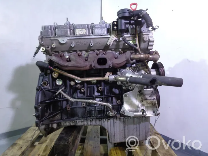 SsangYong Rexton Motor 665925