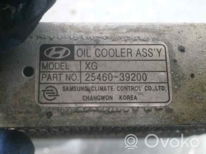 Hyundai XG Moottoriöljyn jäähdytinlaite 2546039200
