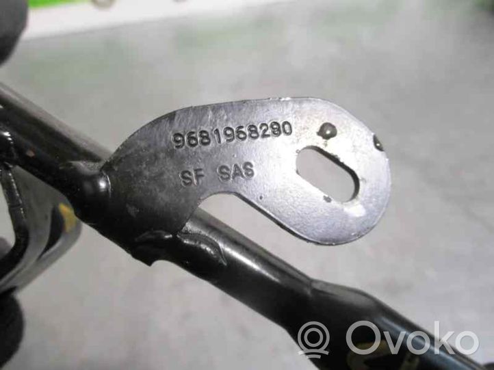 Citroen C-Crosser Asta di controllo livello olio 9681968280