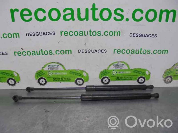 Toyota Avensis T220 Ammortizzatore portellone posteriore/bagagliaio 6896005050