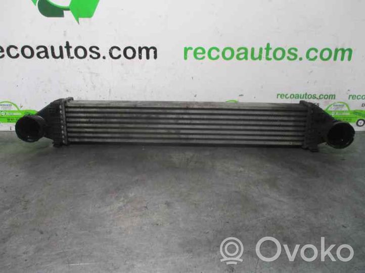 Mercedes-Benz A W169 Radiatore intercooler A169500000