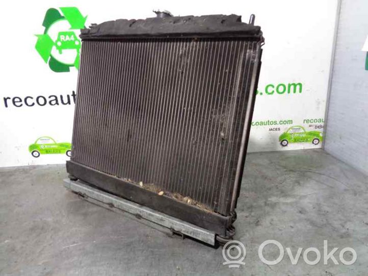 KIA Rio Radiatore di raffreddamento 2531010300