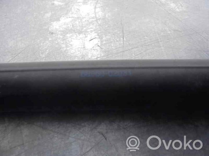 Toyota Corolla Verso E121 Ammortizzatore portellone posteriore/bagagliaio 6896002031